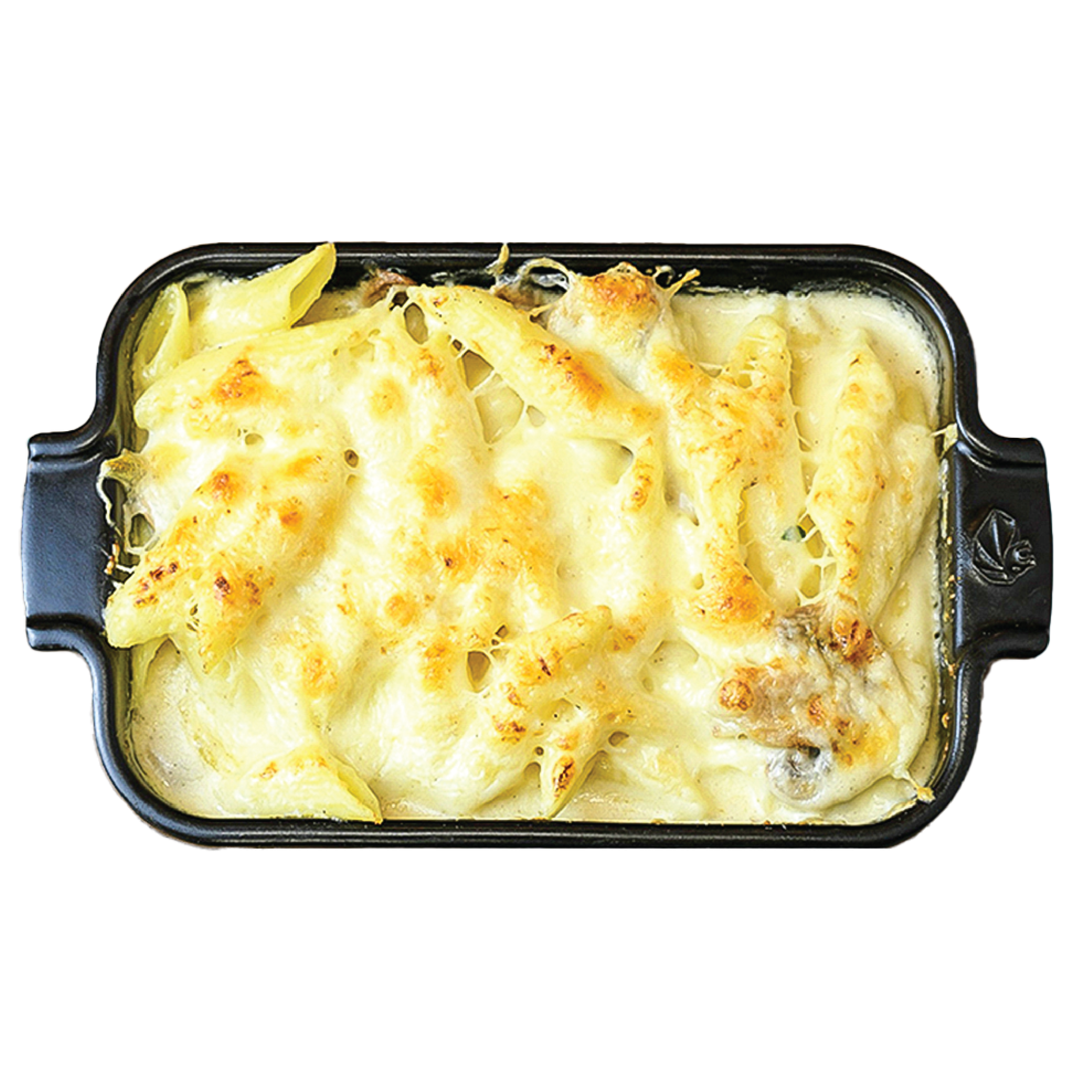Pasta Alfredo